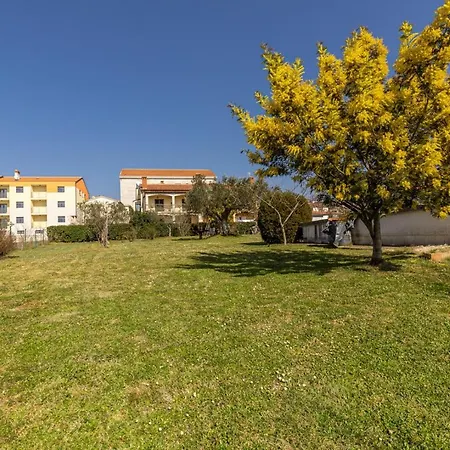 Apartament Cohar *