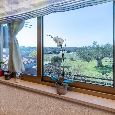 Apartament Cohar Rovinj
